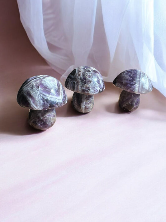 Chevron amethyst crystal mushrooms in a row