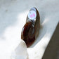 Ammolite whole fossil P side view