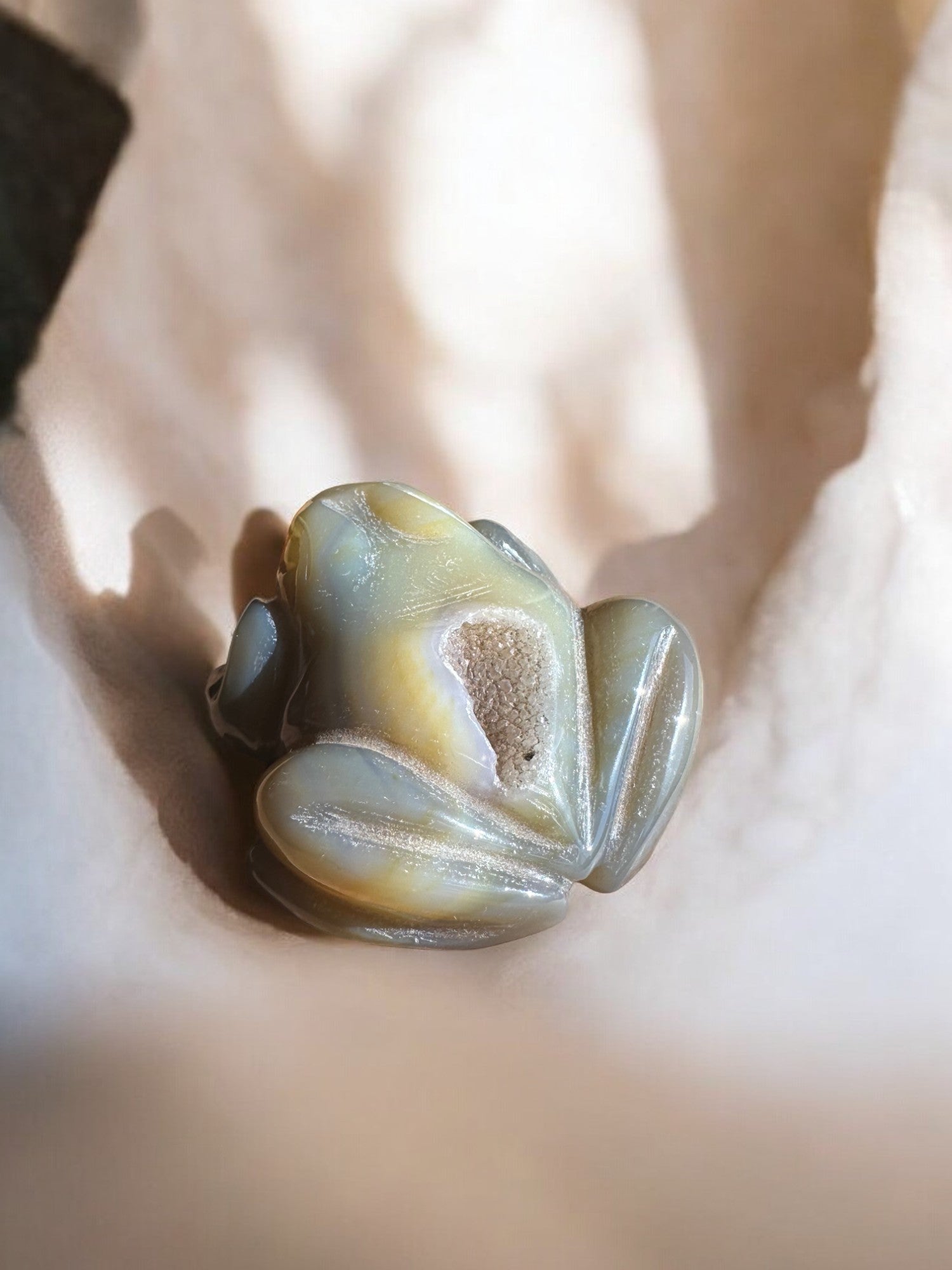 Druzy agate crystal figurine frog with druzy pocket