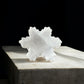 Selenite snowflake crystal shape back view