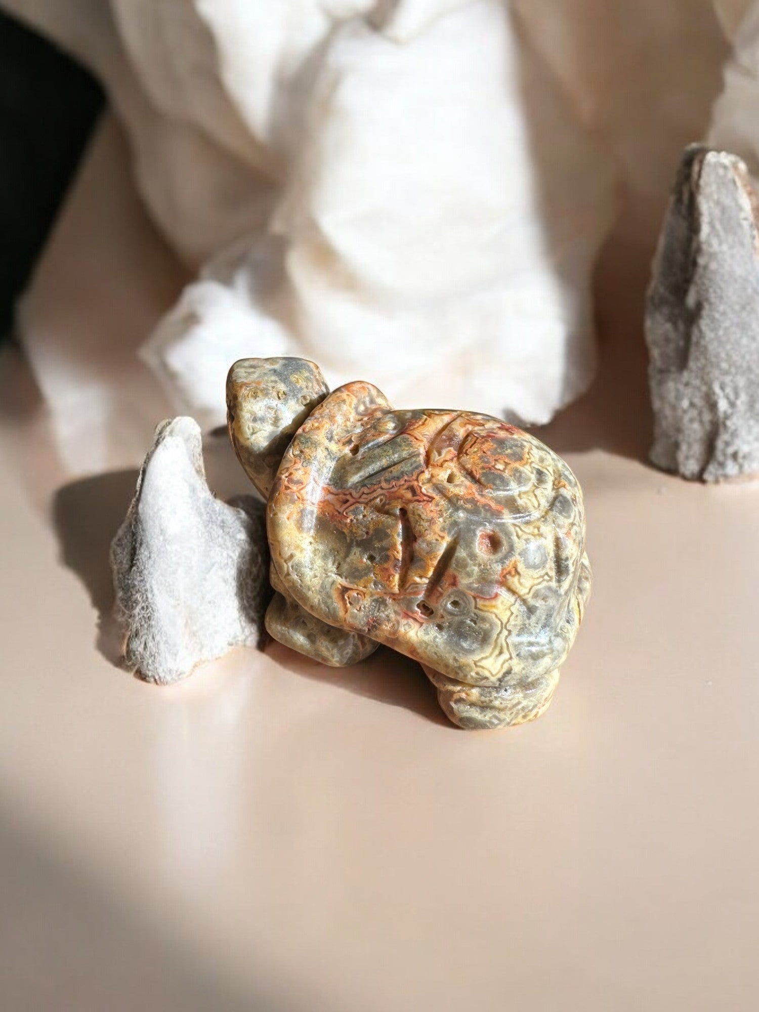 Yellow Crazy lace agate turtles crystal animal back view