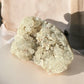 Apophyllite raw crystal cluster in a sunshine