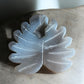 druzy agate crystal shape leaf on a concrete