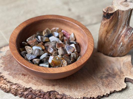Petrified wood chip tumbles | Madacasgar